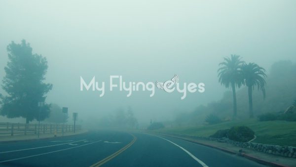 Griffith Park Fog