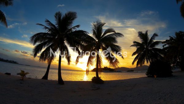 Palm Beach Sunset
