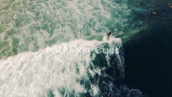 Topanga Surf Bird Eye